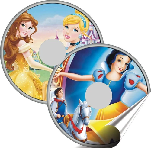 Disney princesses spoke-guard design example