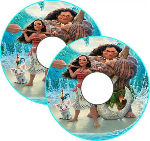 Moana spoke-guard design example
