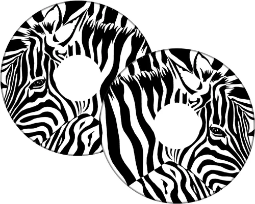 Zebra stripes spoke-guard design example